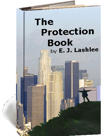  The Protection Book 
